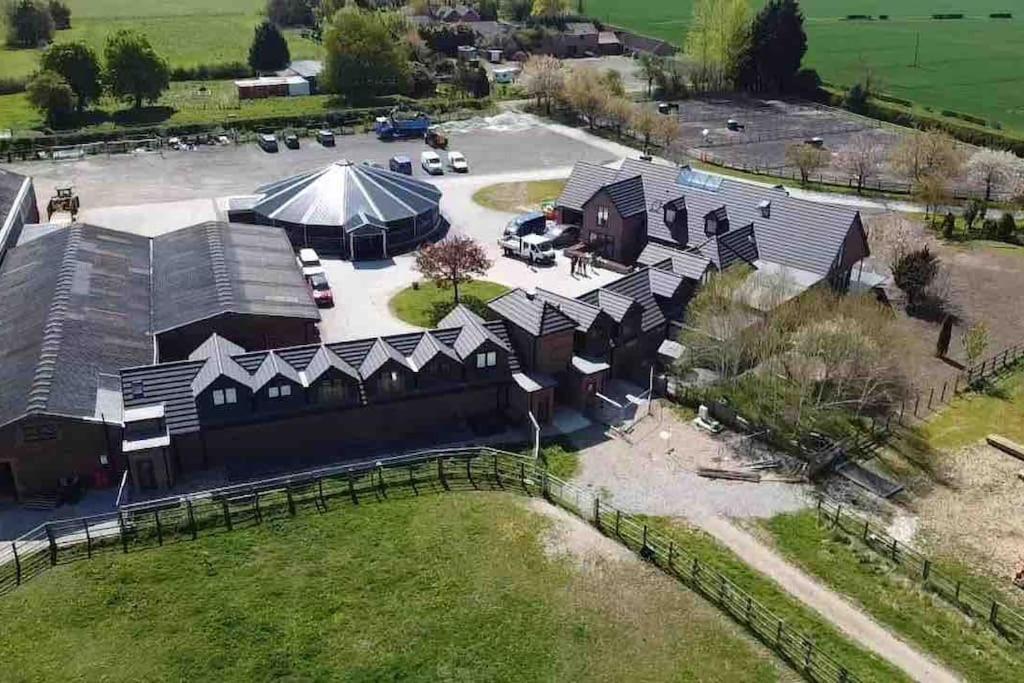 Appaloosa With Amazing Views Of Stud Farm. Driffield