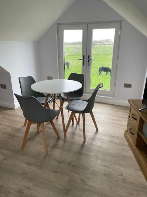 Appaloosa With Amazing Views Of Stud Farm.