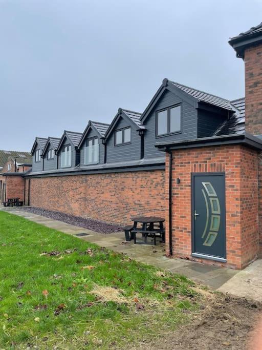 Appaloosa With Amazing Views Of Stud Farm. Driffield