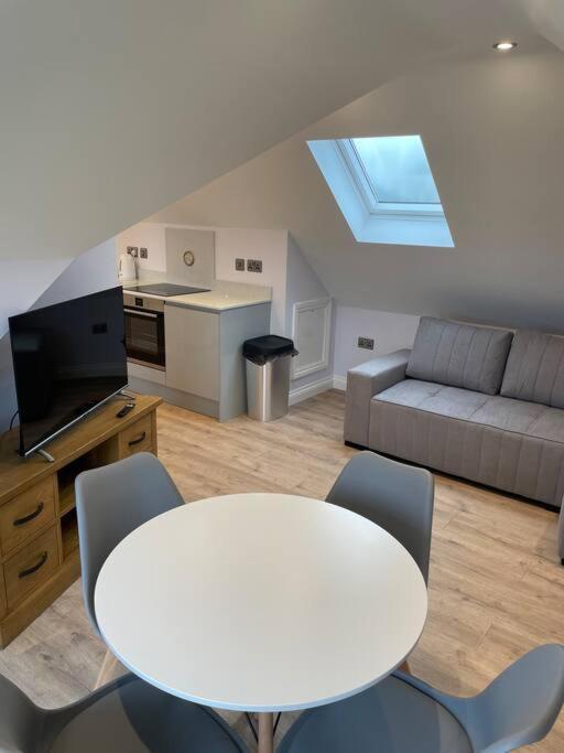 Appaloosa With Amazing Views Of Stud Farm. Driffield